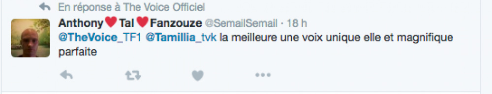 voix_unique.png