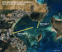 Quatre barrages flottants anti-sargasses à l'étude à Saint-Martin