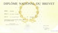 Diplôme national du brevet (DNB) : 263 admis à Saint-Martin.