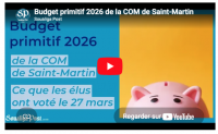 [VIDEO] Budget primitif 2026 de la COM